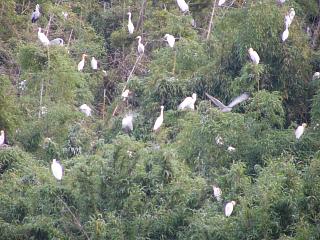 IMG_000073.jpg ( 24 KB / 320 x 240 pixels )